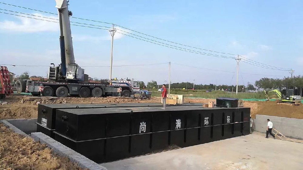 1647497067193283.jpg 1647497067193283.jpg